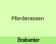 Brabanter