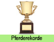 Pferderekorde